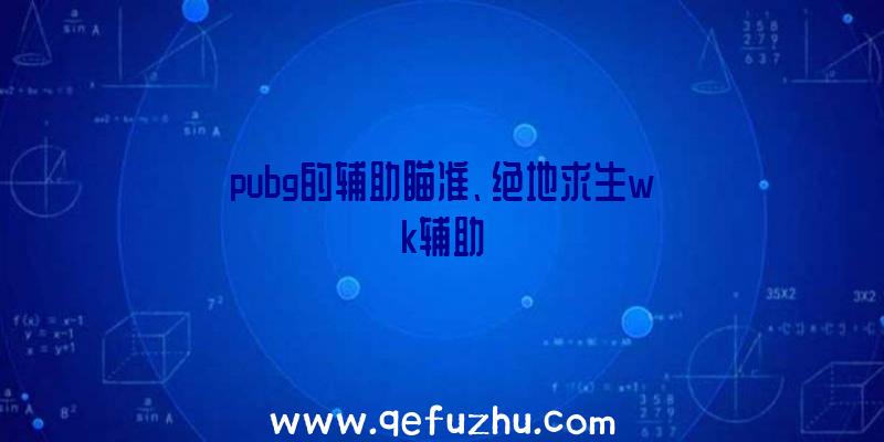 pubg的辅助瞄准、绝地求生wk辅助