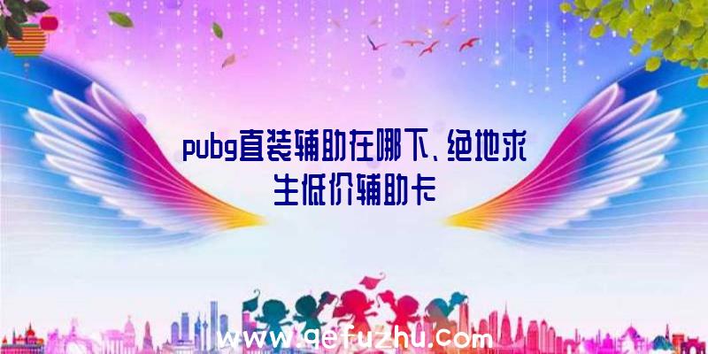 pubg直装辅助在哪下、绝地求生低价辅助卡