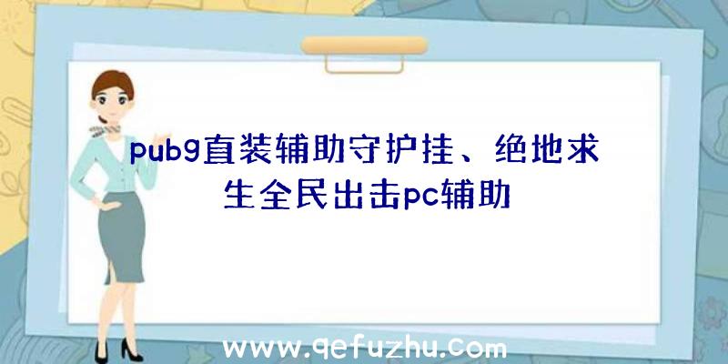 pubg直装辅助守护挂、绝地求生全民出击pc辅助