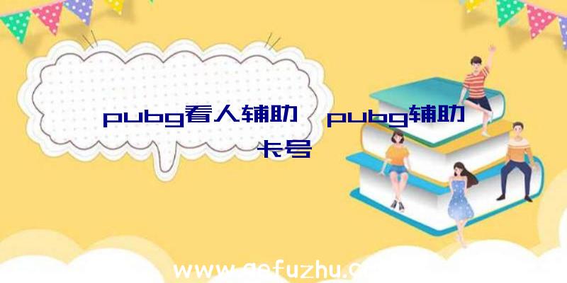 pubg看人辅助、pubg辅助卡号