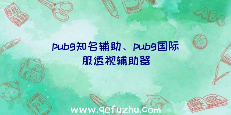 pubg知名辅助、pubg国际服透视辅助器