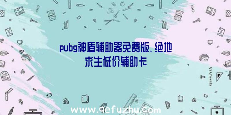 pubg神盾辅助器免费版、绝地求生低价辅助卡