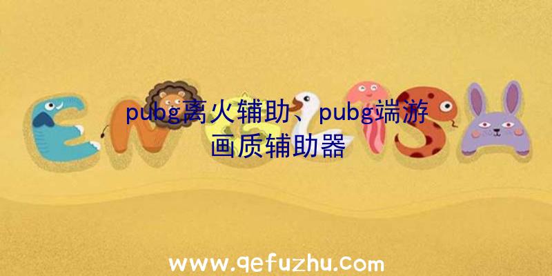 pubg离火辅助、pubg端游画质辅助器