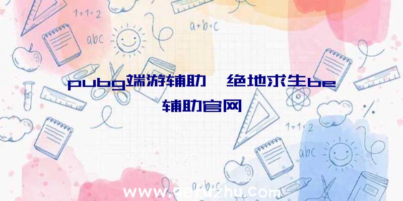 pubg端游辅助、绝地求生be辅助官网