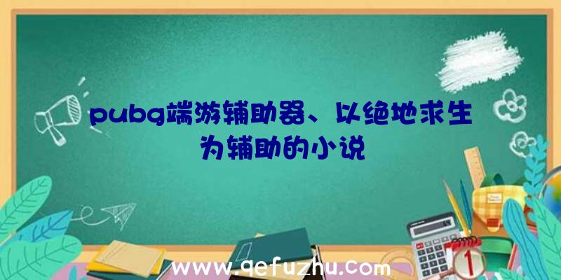 pubg端游辅助器、以绝地求生为辅助的小说