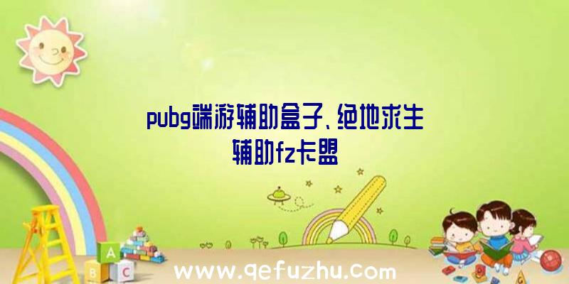 pubg端游辅助盒子、绝地求生辅助fz卡盟