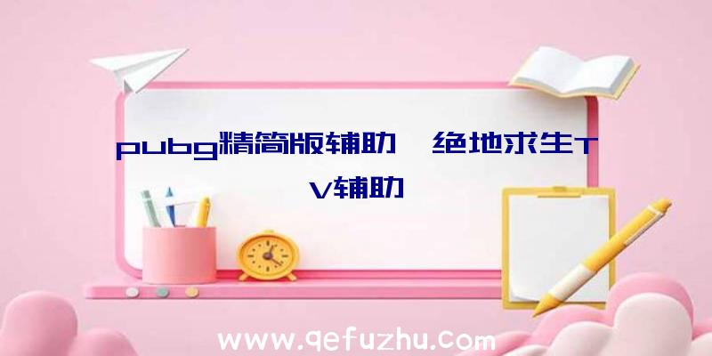 pubg精简版辅助、绝地求生TV辅助