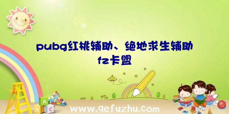 pubg红桃辅助、绝地求生辅助fz卡盟