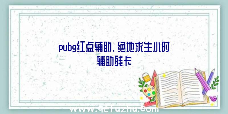 pubg红点辅助、绝地求生小时辅助残卡