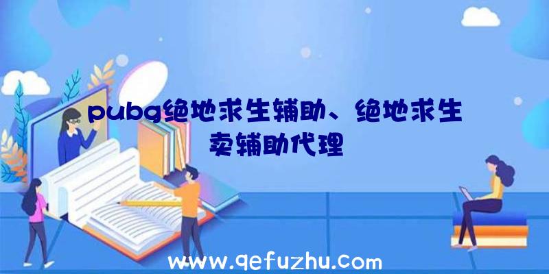 pubg绝地求生辅助、绝地求生卖辅助代理