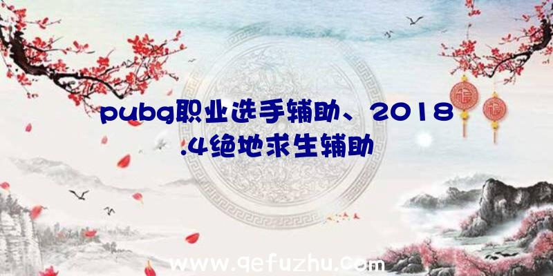 pubg职业选手辅助、2018.4绝地求生辅助