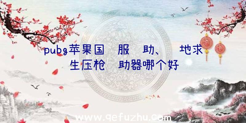 pubg苹果国际服辅助、绝地求生压枪辅助器哪个好