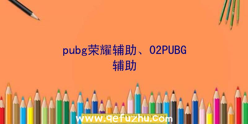 pubg荣耀辅助、02PUBG辅助