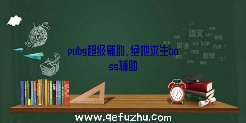 pubg超级辅助、绝地求生boss辅助