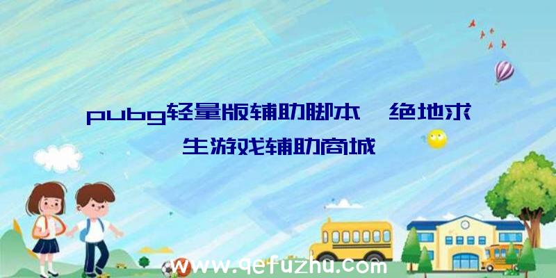 pubg轻量版辅助脚本、绝地求生游戏辅助商城