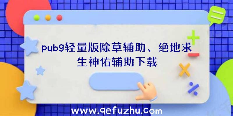 pubg轻量版除草辅助、绝地求生神佑辅助下载