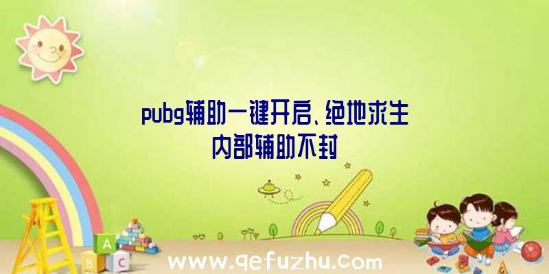 pubg辅助一键开启、绝地求生内部辅助不封