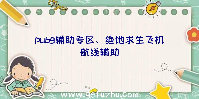 pubg辅助专区、绝地求生飞机航线辅助