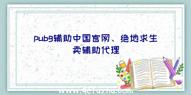 pubg辅助中国官网、绝地求生卖辅助代理