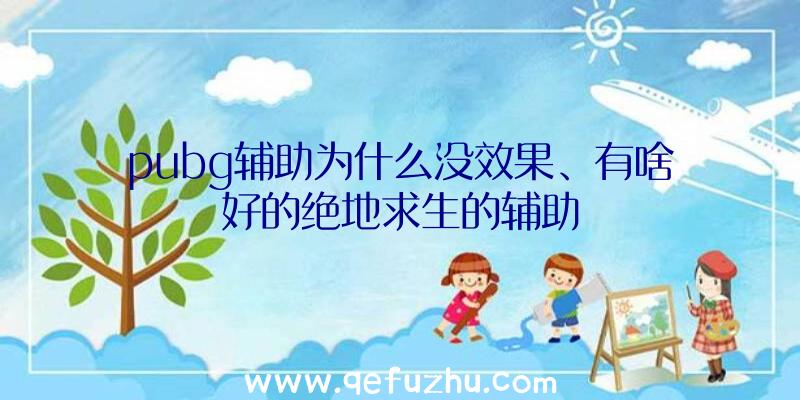 pubg辅助为什么没效果、有啥好的绝地求生的辅助