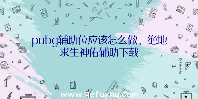 pubg辅助位应该怎么做、绝地求生神佑辅助下载