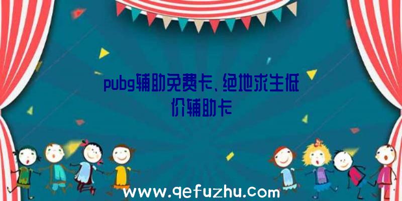 pubg辅助免费卡、绝地求生低价辅助卡