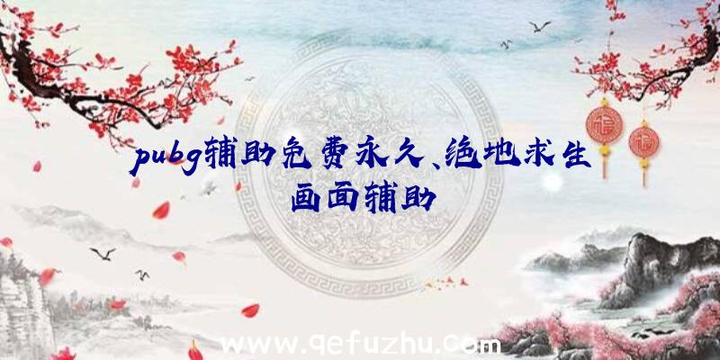 pubg辅助免费永久、绝地求生画面辅助