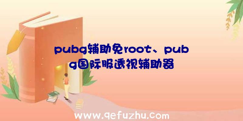 pubg辅助免root、pubg国际服透视辅助器