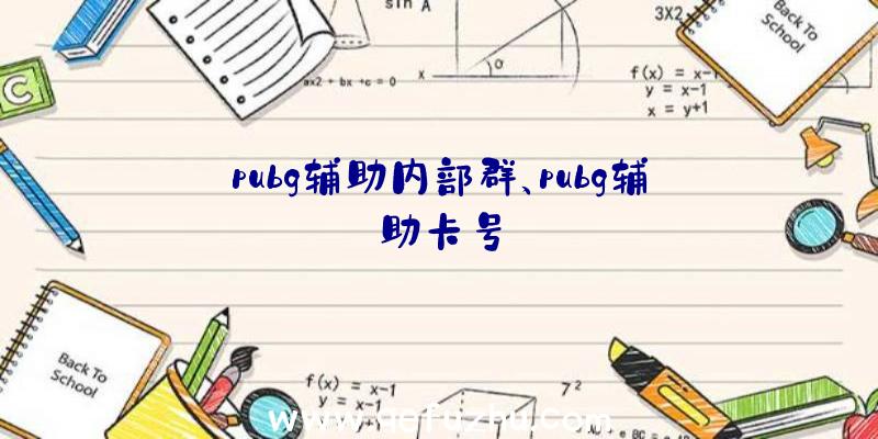 pubg辅助内部群、pubg辅助卡号