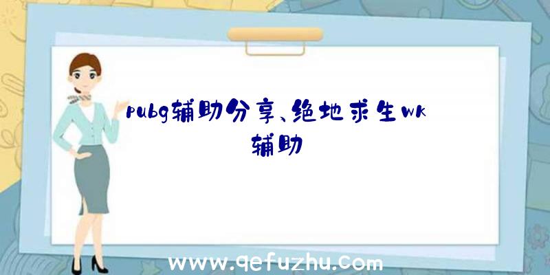 pubg辅助分享、绝地求生wk辅助