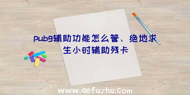 pubg辅助功能怎么管、绝地求生小时辅助残卡