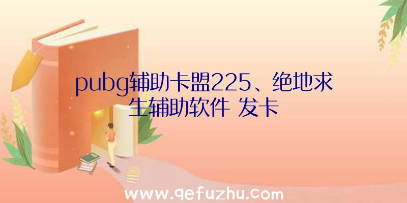 pubg辅助卡盟225、绝地求生辅助软件