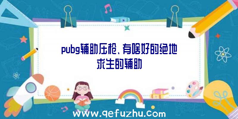 pubg辅助压枪、有啥好的绝地求生的辅助