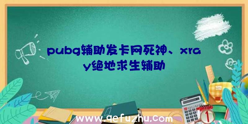 pubg辅助发卡网死神、xray绝地求生辅助