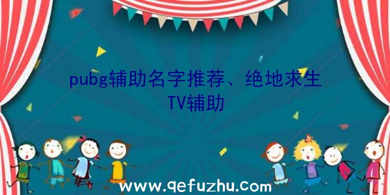 pubg辅助名字推荐、绝地求生TV辅助