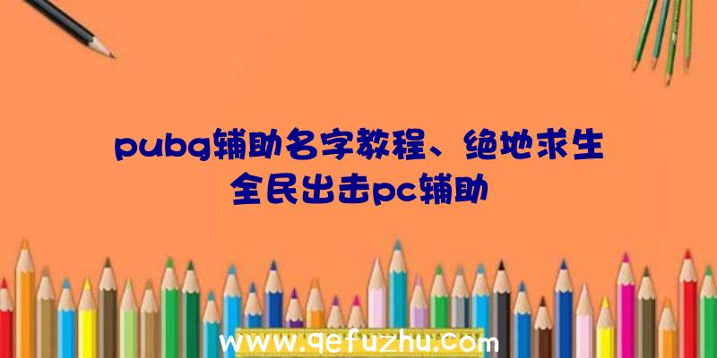 pubg辅助名字教程、绝地求生全民出击pc辅助