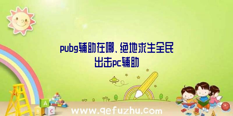 pubg辅助在哪、绝地求生全民出击pc辅助