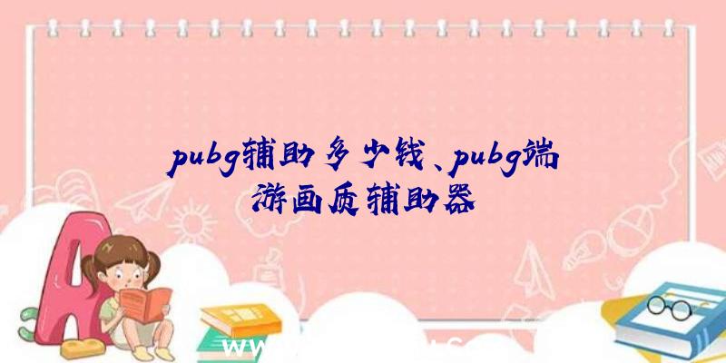 pubg辅助多少钱、pubg端游画质辅助器