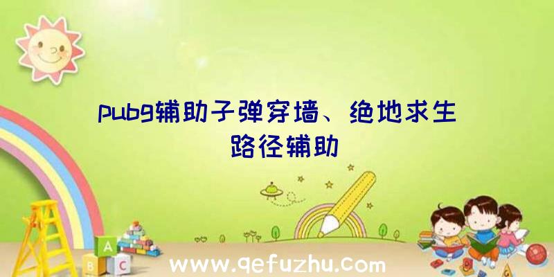 pubg辅助子弹穿墙、绝地求生