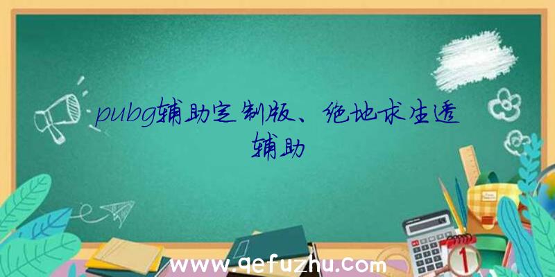 pubg辅助定制版、绝地求生透辅助