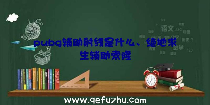 pubg辅助射线是什么、绝地求生辅助索隆