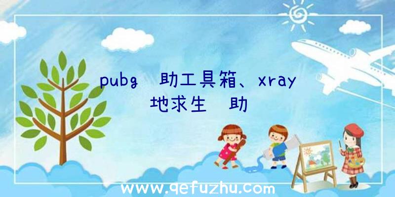 pubg辅助工具箱、xray绝地求生辅助