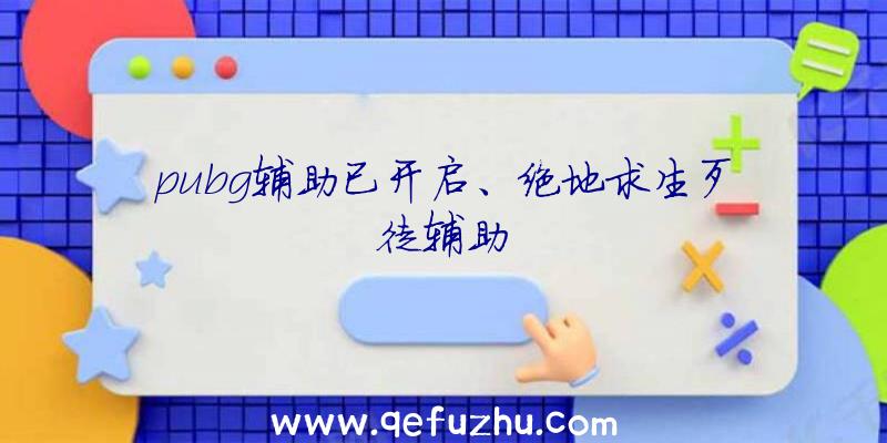 pubg辅助已开启、绝地求生歹徒辅助