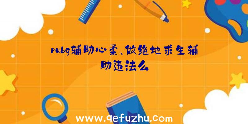 pubg辅助心柔、做绝地求生辅助违法么