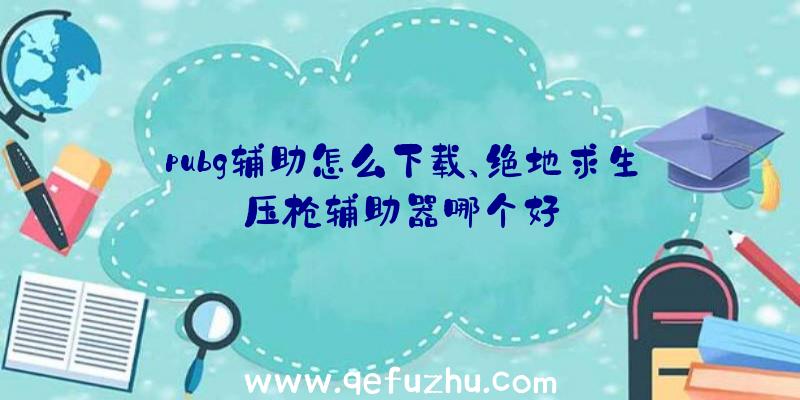 pubg辅助怎么下载、绝地求生压枪辅助器哪个好