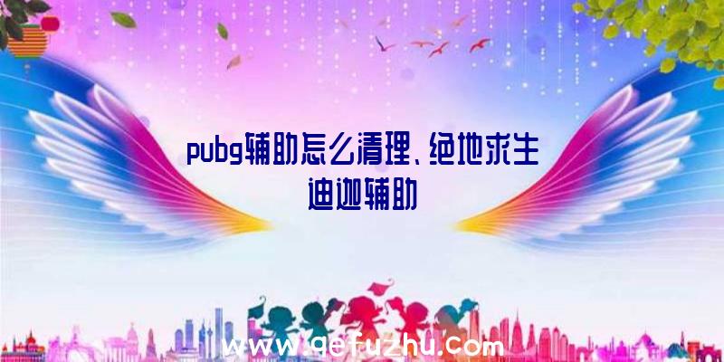 pubg辅助怎么清理、绝地求生迪迦辅助