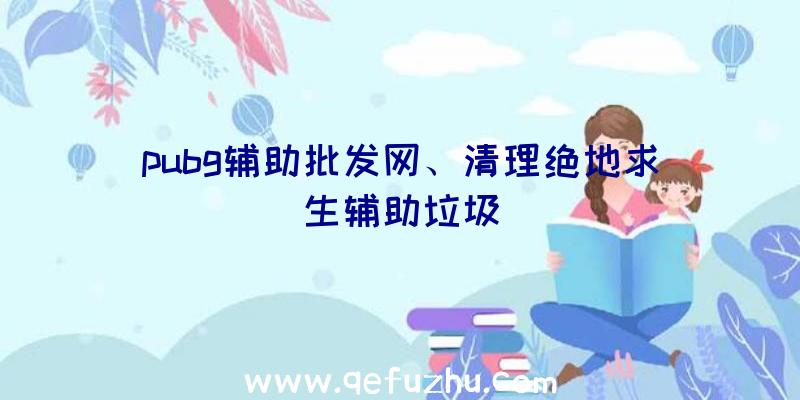 pubg辅助批发网、清理绝地求生辅助垃圾