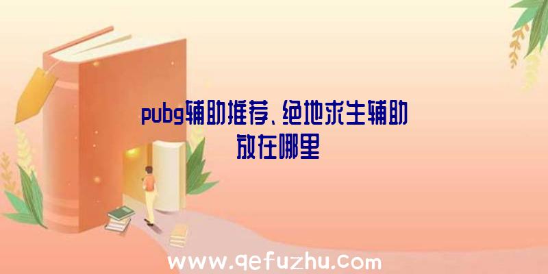 pubg辅助推荐、绝地求生辅助