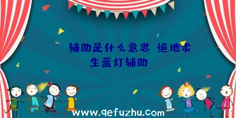 pubg辅助是什么意思、绝地求生蓝灯辅助