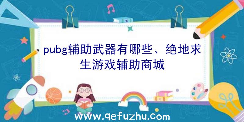 pubg辅助武器有哪些、绝地求生游戏辅助商城